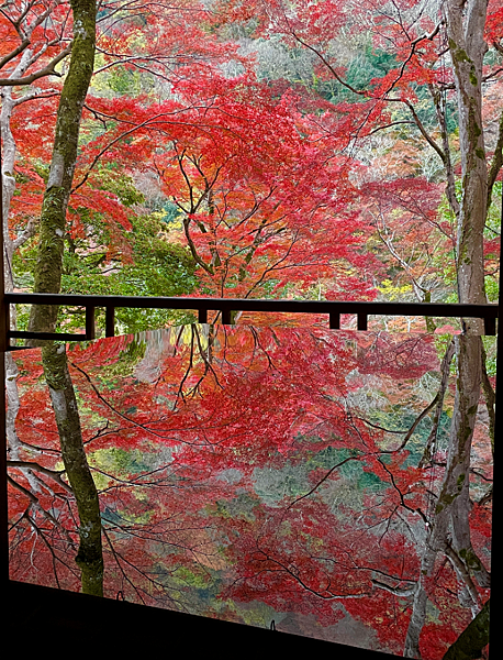 【2023關西自由行】常寂光寺、祐齋亭、祗園小森、一蘭拉麵