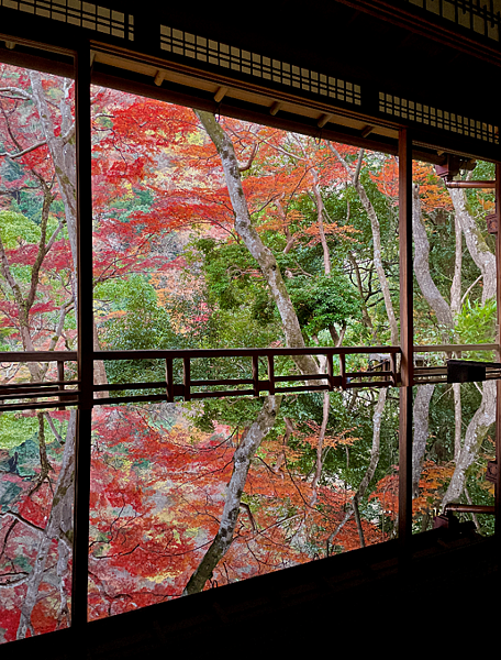 【2023關西自由行】常寂光寺、祐齋亭、祗園小森、一蘭拉麵