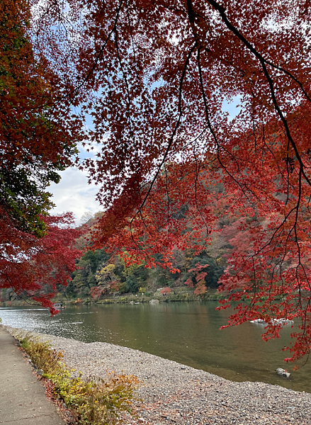 【2023關西自由行】常寂光寺、祐齋亭、祗園小森、一蘭拉麵