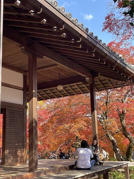 【2023關西自由行】常寂光寺、祐齋亭、祗園小森、一蘭拉麵