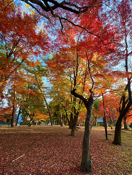 【2023關西自由行】南禪寺(三門、水路閣、最勝院、天授庵)