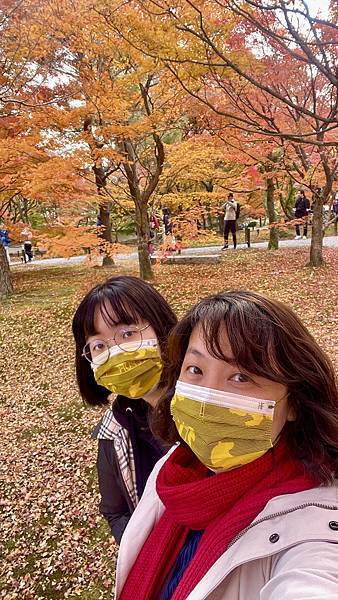 【2023關西自由行】東福寺、八阪神社