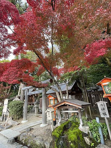 【2023關西自由行】東福寺、八阪神社