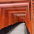 IMG_4640.JPG
