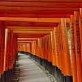 IMG_4650.JPG