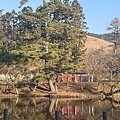 IMG_4707.JPG