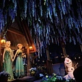 IMG_6686.JPG