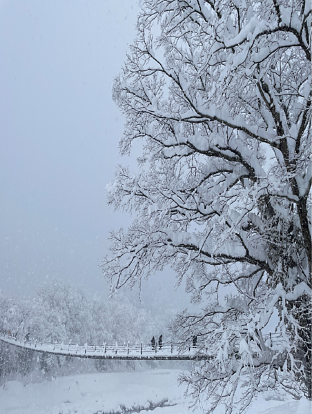 【2025名古屋】世界文化遺產合掌村