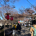螢幕擷取畫面 2025-05-08 132533.png