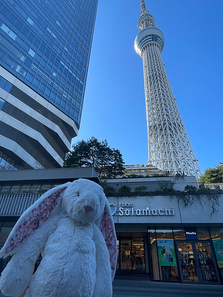 【2025東京自由行】晴空塔敍敍苑、淺草美食、銀座東