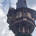 IMG_4992.JPG
