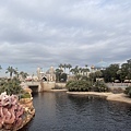 IMG_4950.JPG