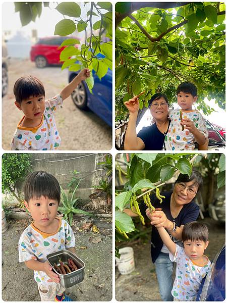 【生活】榮美園&清境藝家園