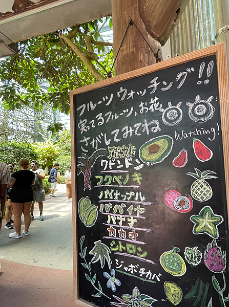 螢幕擷取畫面 2025-08-22 134549.png