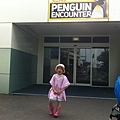 most happy to to visit penguin
