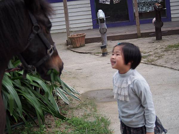 對馬談琴？！