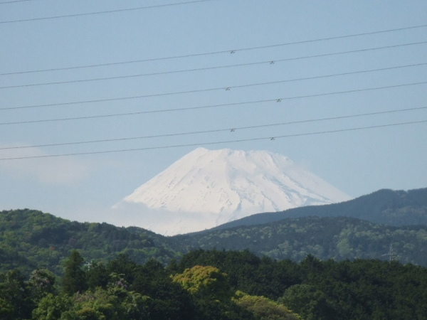 富士山到啦
