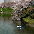 千鳥ヶ淵公園到了。