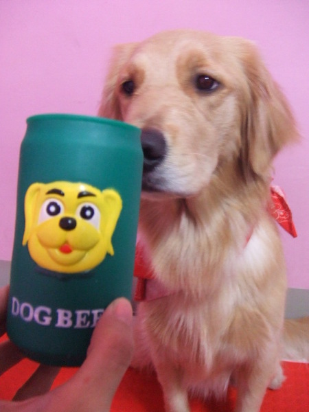 給我喝dog beer....