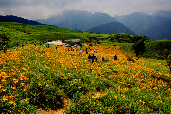 DSC_5719.jpg DSC_5719.jpg