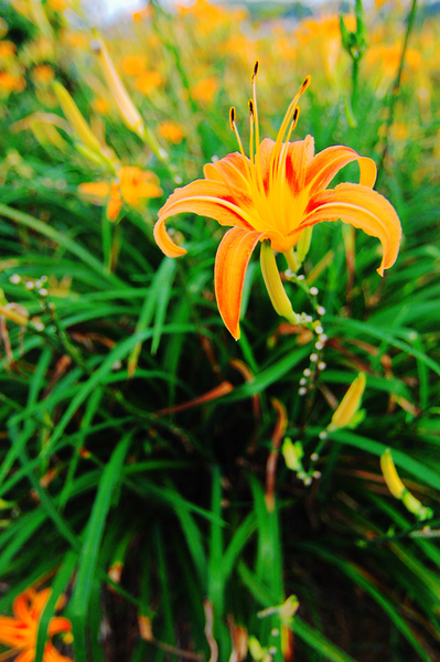 DSC_6428.jpg DSC_6428.jpg