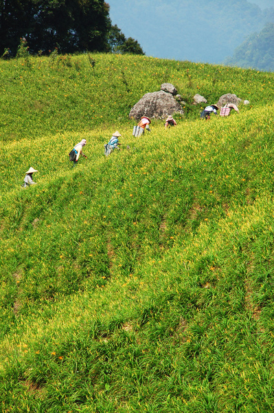DSC_6864.jpg DSC_6864.jpg