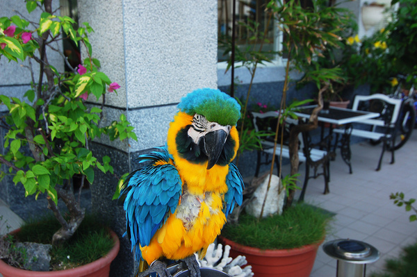 DSC_7258.jpg DSC_7258.jpg