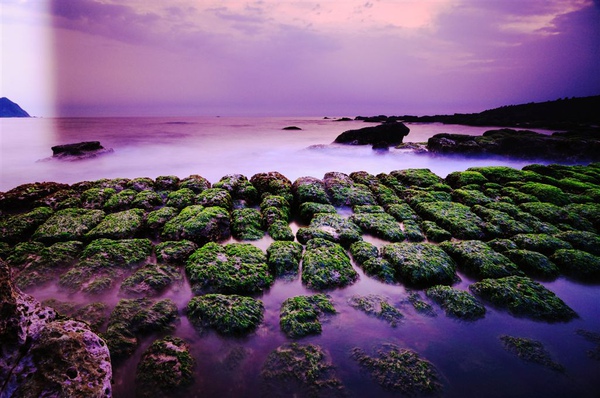 DSC_0531 黑卡未確實靠近鏡頭.jpg DSC_0531 黑卡未確實靠近鏡頭.jpg