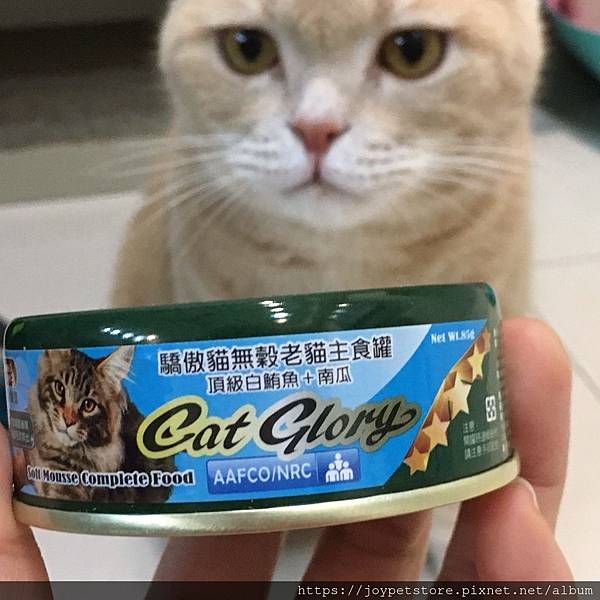 驕傲貓主食罐-老貓鮪魚+南瓜_190202_0029.jpg 驕傲貓主食罐-老貓鮪魚+南瓜_190202_0029.jpg