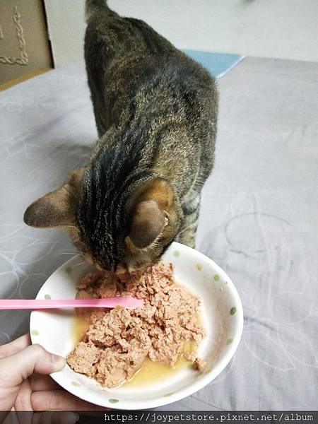 PURRTFACT波菲特安心鶉主食罐_190521_0017.jpg