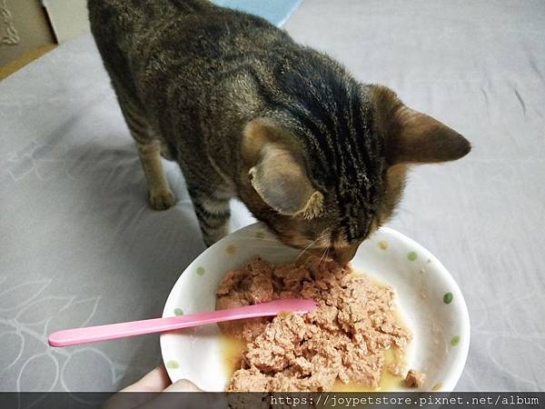 PURRTFACT波菲特安心鶉主食罐_190521_0018.jpg