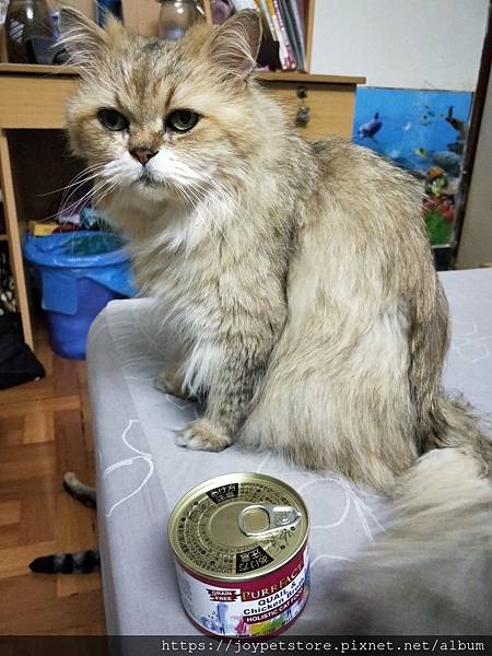 PURRTFACT波菲特安心鶉主食罐_190521_0031.jpg