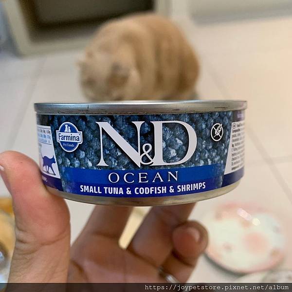 法米納海洋罐8@小鮪魚鱈魚蝦肉_191122_0057.jpg