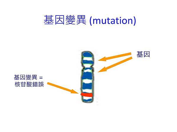 雅文20170415_吳振吉醫師講義-15.jpg