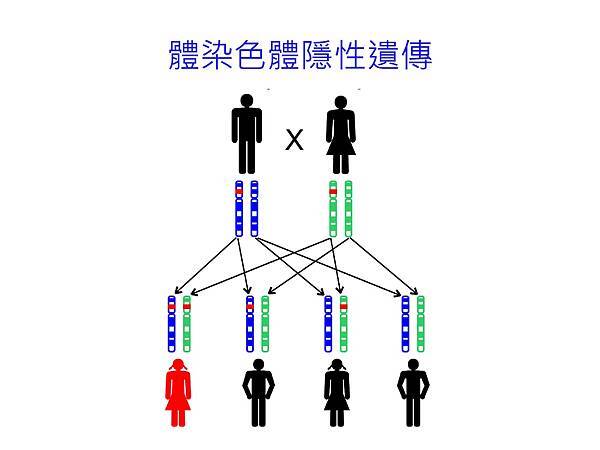 雅文20170415_吳振吉醫師講義-20.jpg