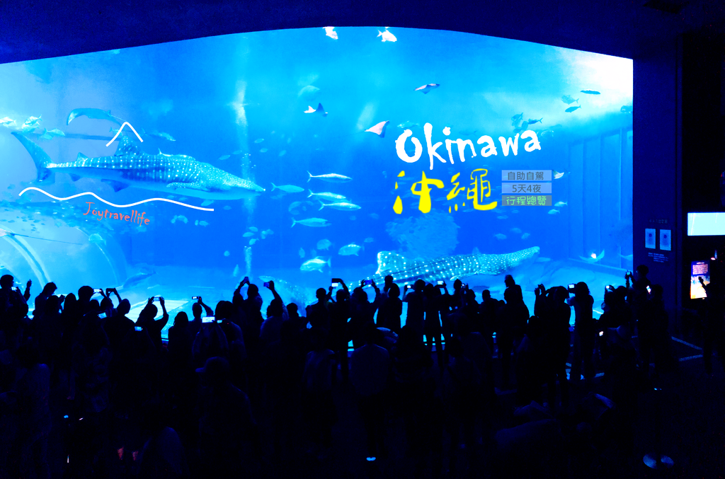 古宇利大橋,沖繩美麗海水族館,萬座毛,玉泉洞,琉球村,永旺夢樂城沖繩來客夢,Orion啤酒廠,日本,沖繩,懶人包,住宿,自由行,自駕,自助,攻略,五天四夜