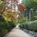 高野山 壇上伽藍