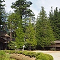 高野山 金剛峯寺 經藏