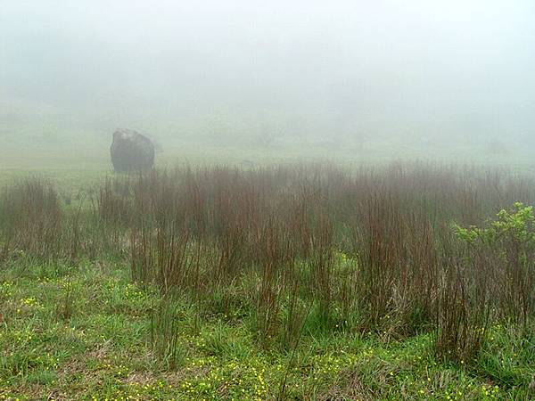 向天池