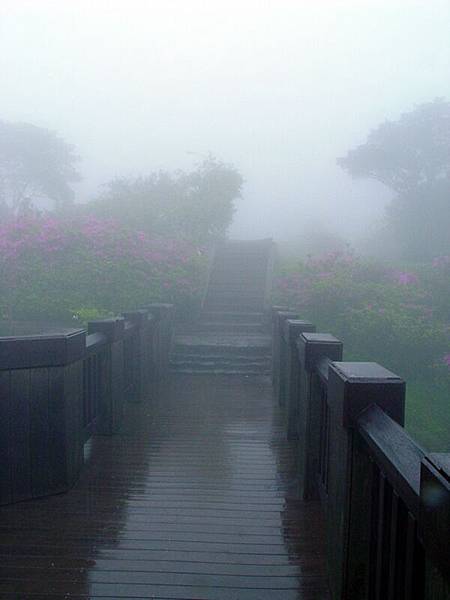 大屯山自然公園