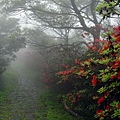 大屯山自然公園