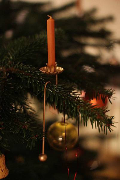 IMG_2428 IMG_2428