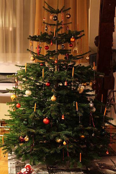 IMG_2425 IMG_2425