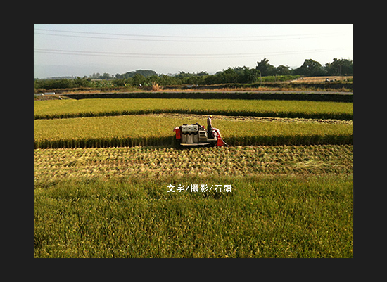 IMG_0097拷貝.jpg IMG_0097拷貝.jpg