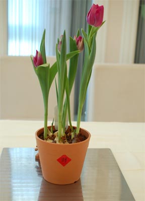 2014過年3 2014過年3