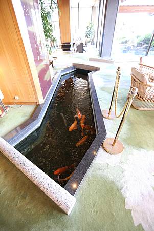 IMG_9364.JPG IMG_9364.JPG