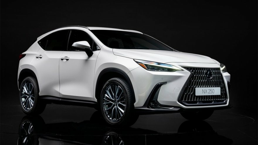 2022 LEXUS NX250 AWD 車身拉桿安裝寫真