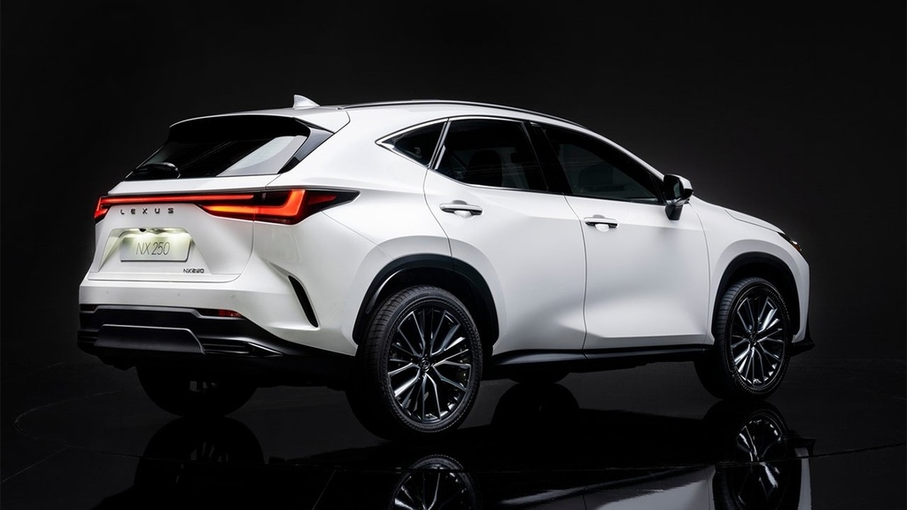 2022 LEXUS NX250 AWD 車身拉桿安裝寫真