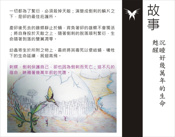 刺蝶 - 4.jpg 刺蝶 - 4.jpg