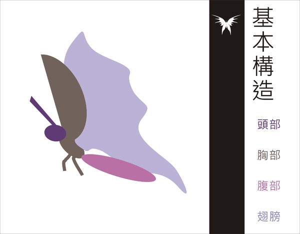 刺蝶 - 7.jpg 刺蝶 - 7.jpg